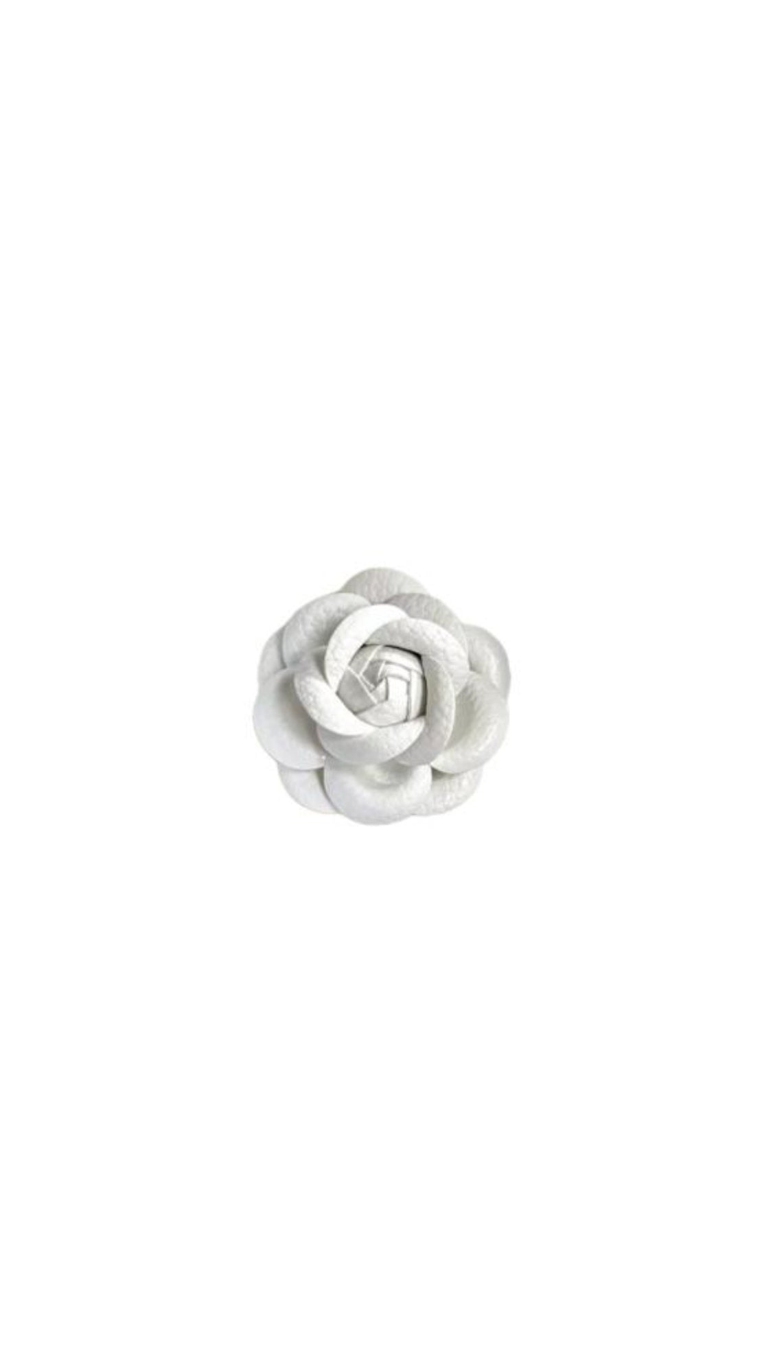 White flower - مسكة شانيل