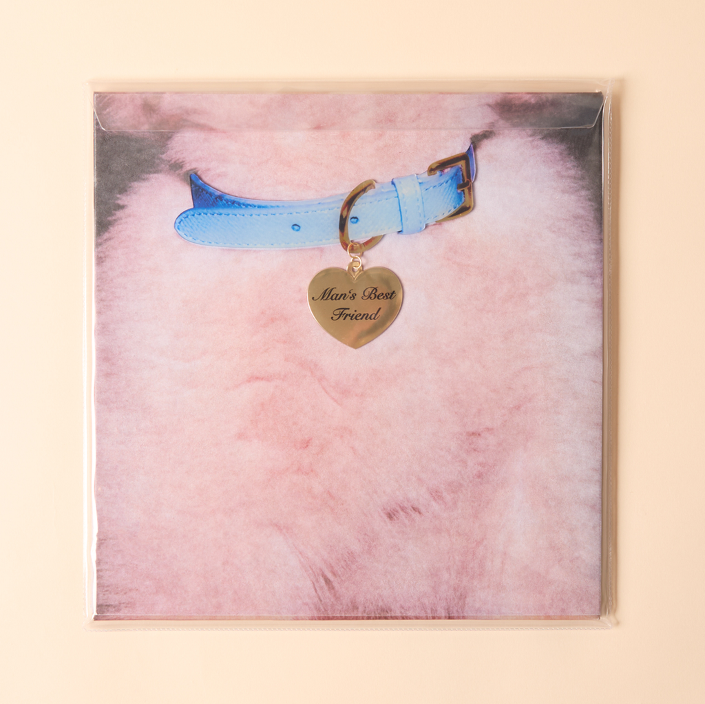 Man's Best Friend D2C Luxe Packaging LP